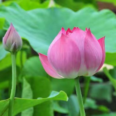 春雨走万家，阳光落心间---南关学校四年级家访活动