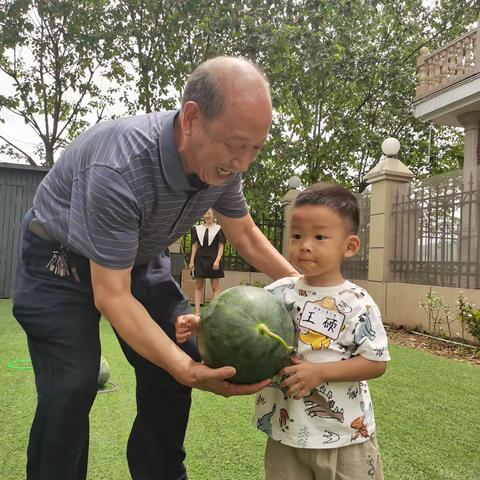 四大双千｜“你好 夏天”凤凰积极推进现代社区建设善育场景