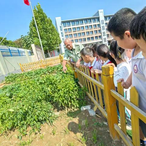 记一节快乐的劳动实践课