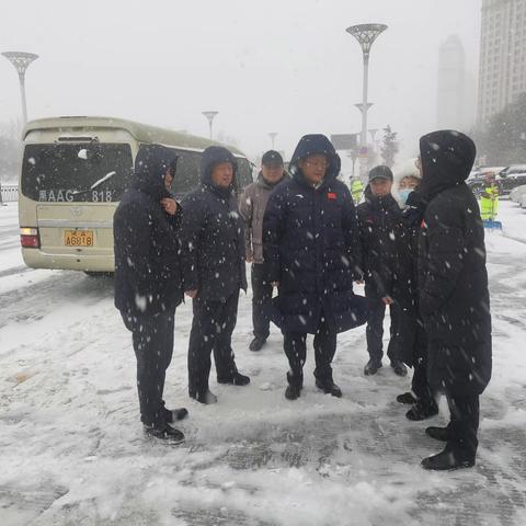 谭乐伟副市长带队深入道里区督导清冰雪工作