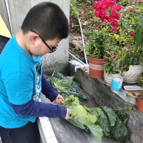 美友74345441的文章