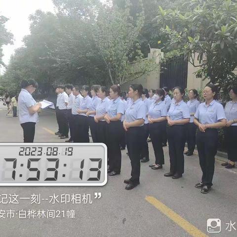 白桦林间8月19日工作简报