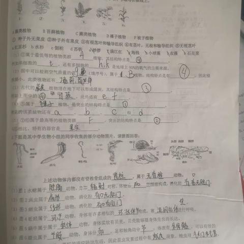 生物（周颀博、王铭钰未交，其余均按时提交并有红笔订正）