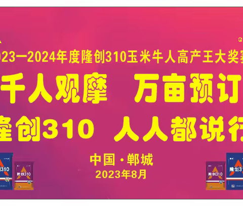 2023-2024年度隆创310玉米牛人高产王大奖赛—郸城站