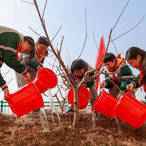 拥抱春天，“植”此青绿—泗洪县洪桥学校植树节活动纪实