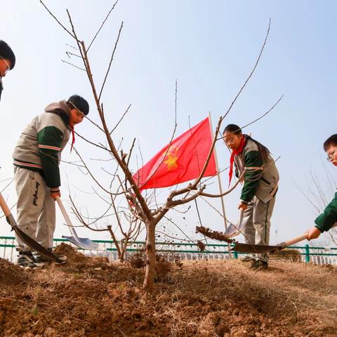 拥抱青春，“植”此青绿—泗洪县洪桥学校植树节系列活动纪实