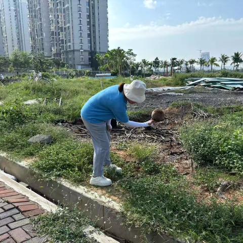 秀英区统计局深入西秀镇长滨社区开展爱国卫生运动