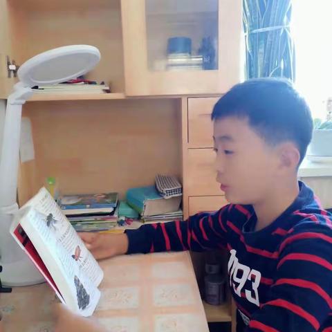 家乡美