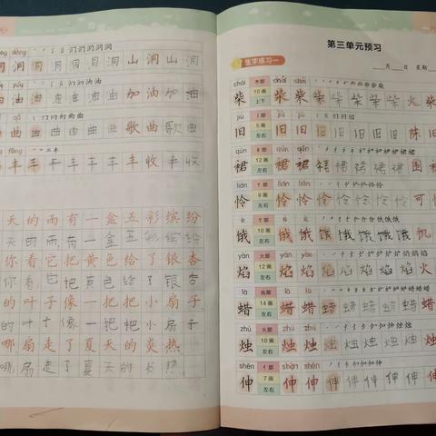 黄新辰暑假第八周