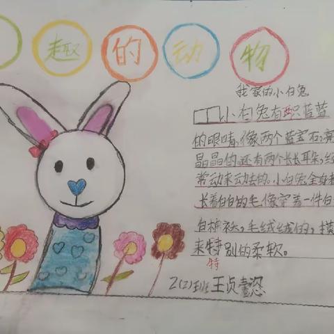 有趣的动物————二年级（2）班特色作业分享
