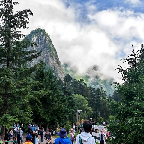 如诗如画 山青水绿 景致迷人 --九寨沟（三）