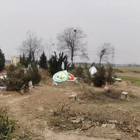 区民政局强力督导坟茔环境卫生整治 打造绿色文明祭扫环境