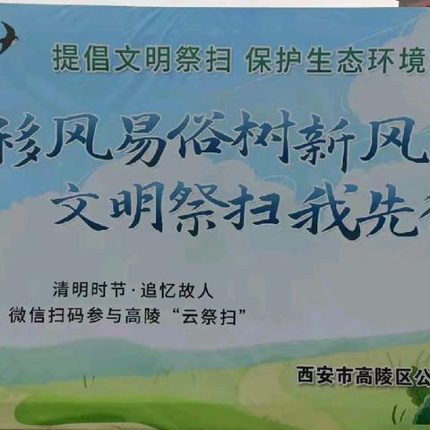 区民政局全力保障2025年清明节祭扫工作