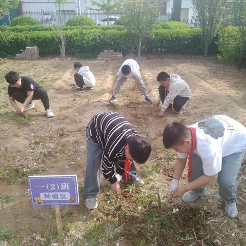 “动手实践 快乐成长”小张各庄中心小学五一主题活动