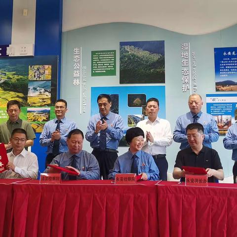 永安林长制：创新县际协作联动，携手共护青山绿水