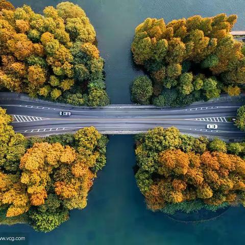 医学职业体验：海医二院CareerMed项目总结