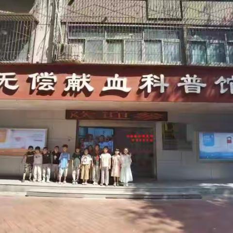 黄二“小绿叶”暑期研学实践活动-走进无偿献血科普馆，播撒爱心种子