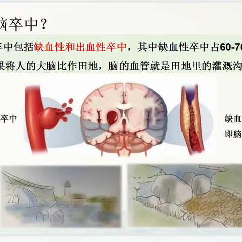 满子的简篇