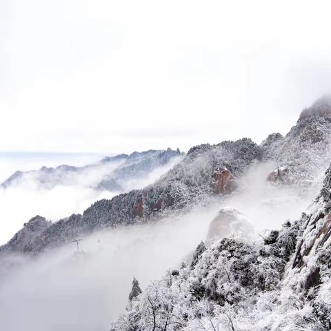 来花台开启一场新一年的旅行吧