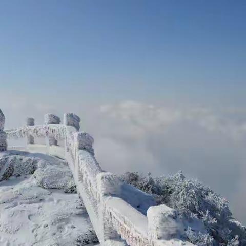 冬游池州 | 春节去哪玩？九华山这个宝藏景区别错过