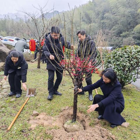 一起“上春山”——花台景区工作人员开展植树活动