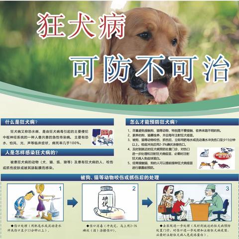 “同一健康，共建共享，消除狂犬病”