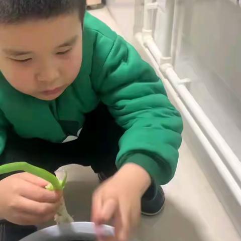 一二班德育作业