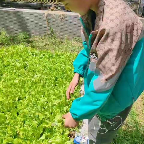 一二班德育作业