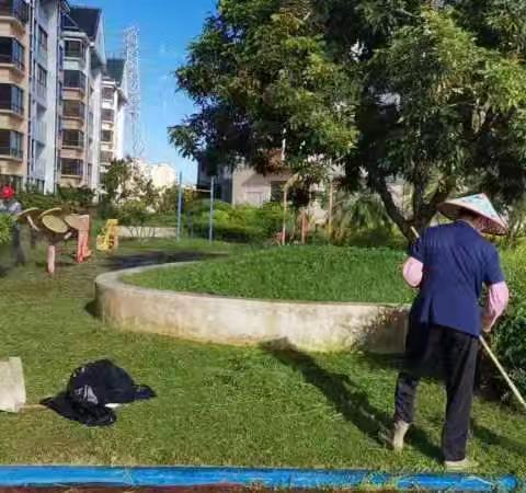 隆平小区工作汇报