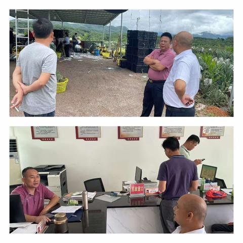 育才生态区农村集体土地流转合同清理工作规范工作情况--8月2日