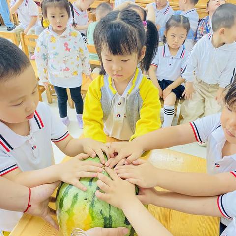 瓜趣横生🍉——小三班班本课程