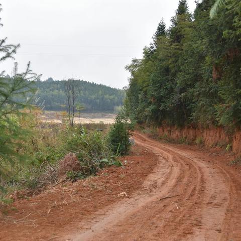 路
