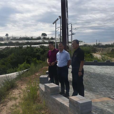 守初心 践行动----宝塔区副区长野根利检查果树夏季管理工作