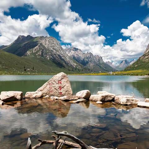 快乐人生之旅——莲宝叶则