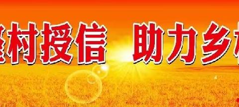 源潭信用社整村授信袁楼村：乡村振兴正当时，入户走访不停歇