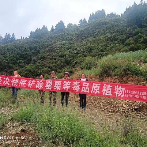 迭部生态建设管护中心安子沟林场