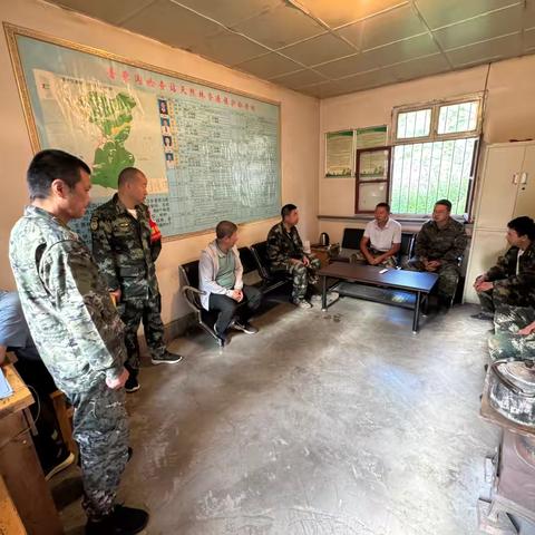 安子沟林场日报