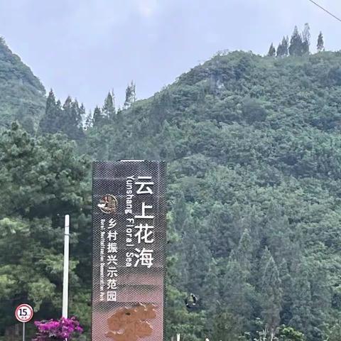 【大学生在行动】昆明城市学院“蛋仔派队”小分队走进罗平乡村振兴示范园—云上花乡