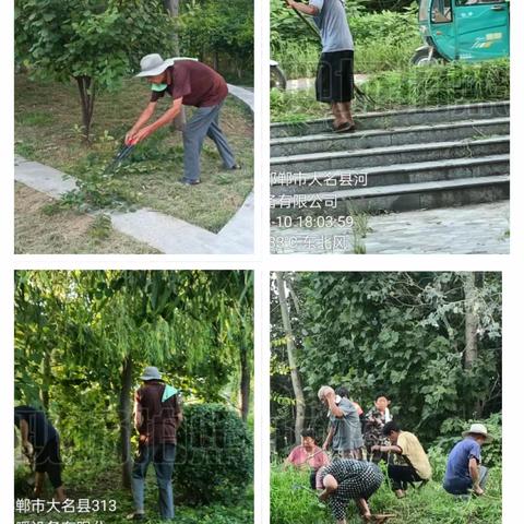 【扮靓城市提升颜值】大名县住建局园林绿化养护工作纪实