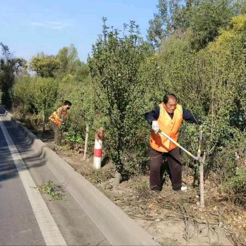 【永年交通】橘心如炬迎国庆   精心养护保畅通