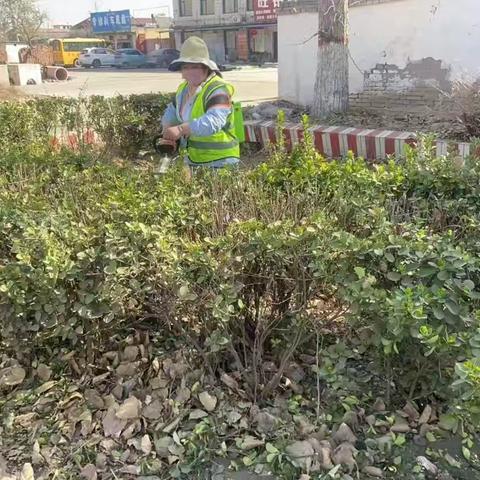 【永年交通】公路春养正当时（三）——绿化养护增“颜值”