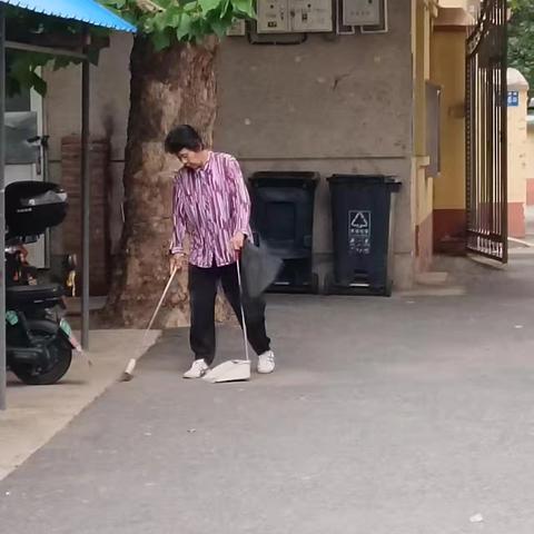 建鑫社区：党员志愿者齐发力，环境整治焕新颜