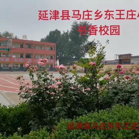 防溺于未然  安全伴我行 ‍      ——马庄乡东王庄小学