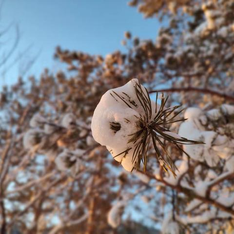 2024年3月23日星期六，农历2月14雪霁