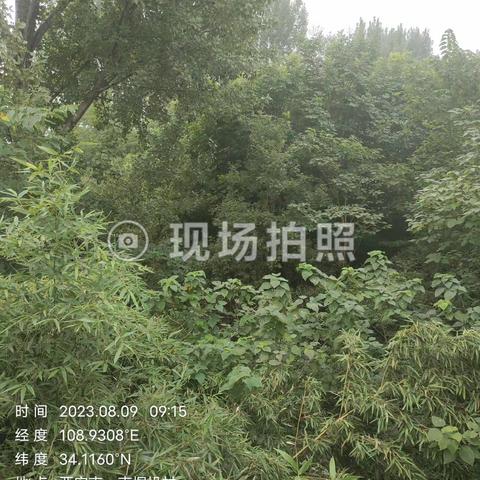 防洪防汛网格员每日坚持河道两巡