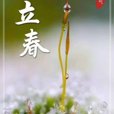 立春，春光灿烂，春暖花开。带着春的笑颜，春的希望，串起春的牵挂，春的眷恋，。故园春来花斗艳，芬芳桃李映庭前。明媚春光好风景，鸟语花香又一年。