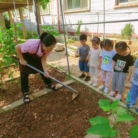 57期康祺幼儿园小一班开心农场