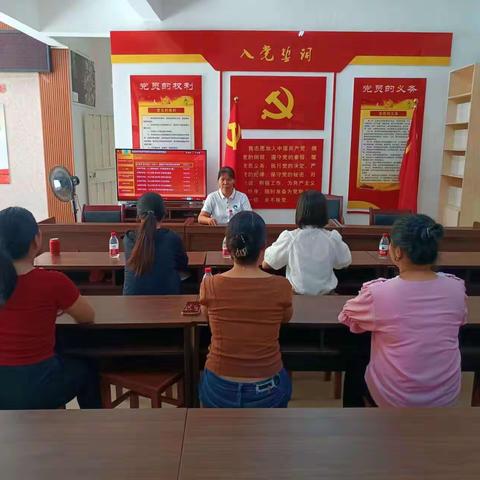 三亚市海棠区湾坡村妇女联合会召开关于二届二次执委会议补选执委员会议