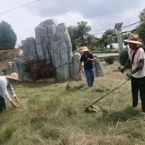 强化示范引领 全面整治提升 大兆街道全力推进“全域提升、百村示范”环境卫生整治行动