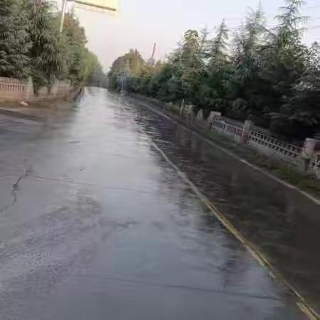 细处入手，实处着力—大兆街道持续推进环境卫生整治工作